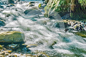 North Creek, Jefferson National Forest, USA.