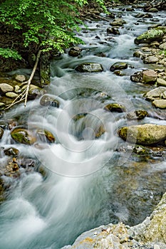 North Creek - Wild Mountain Trout Stream - 3