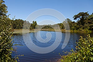 North Cumberland WMA Lake