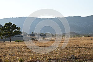 North Cyprus farmers landscape