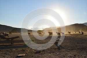 North Cyprus farmers landscape