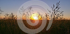 North Dakota Prairie Sunset