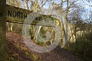 North Downs Way fingerpost photo