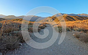 North Etiwanda Preserve trails