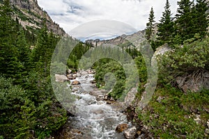 North Fork Of Cascade Canyon Tumbles Through Forest and Boulders Of Grand Teton