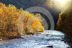 North Fork Potomac river