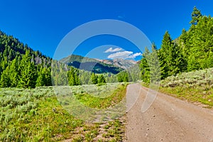 North Fork Road in the Sawthooth National Forest near Ketchum, Idaho photo