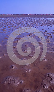 North-Germany: the bottom of the Watt Ocean, when the water is gone at low tide