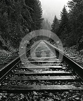 North Idaho Train Tracks