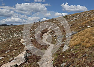 North Inlet Trail near the top of a Flattop Mountain, Rocky Mountain National Park, Colorado