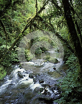 The North Island of New Zealand