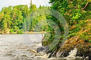 North Karelia lake, Russian wild nature. Forest growing