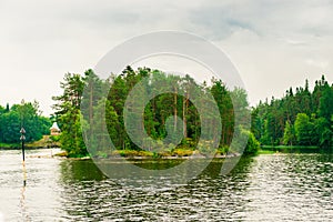 North Karelia lake, Russian wild nature. Forest growing