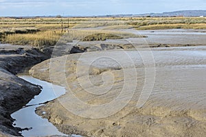 North Kent Marshes