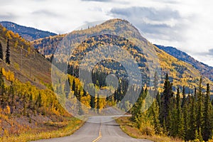 North Klondike Highway golden taiga Yukon Canada photo