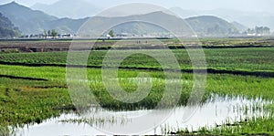 North Korea. Countryside