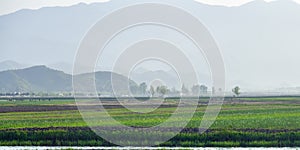 North Korea. Countryside