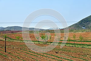 North Korea countryside landscape