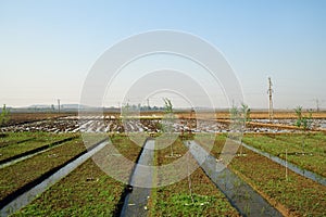 North Korea countryside landscape