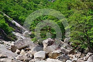 North Korea. Diamond mountains. Mt.Kumgang