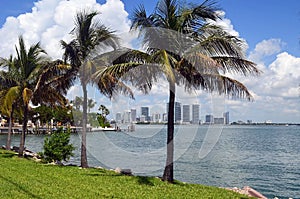 North Miami Skyline Viewed From the Venetia Causeway