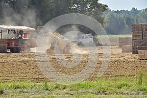 North Mississippi Sweet Potato Harvest.