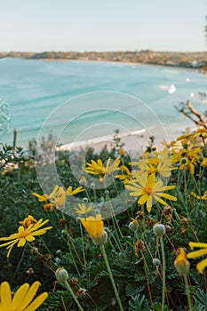 North Mollymook beach, South Coast Ulladulla, Australia.