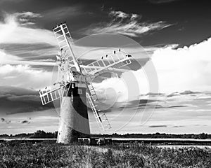 North Norfolk windmill in high summer with nesting birds