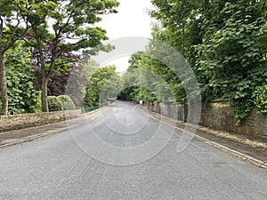 North Park road, with old trees, and stone walls in, Bradford, Yorkshire, UK