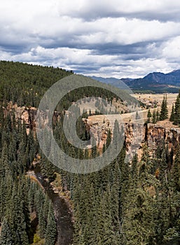 The North Piedra Stock Driveway Trail in the San Juan National Forest.