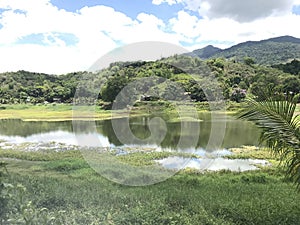 A North Portion of Lake Beside the Gintung Pakpak Ecopark