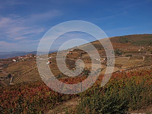 North Portugal landscape with mountains and vineyards