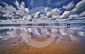 The north sea beach with clouds and  sun , wide angle view of the nordsea