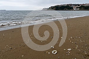 North sea beach with cloudy day with waves on the shore and village