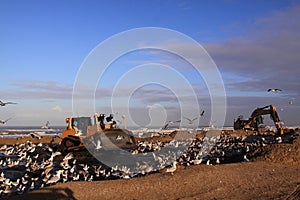 North sea coast bulldozer katwijk photo