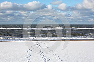 North Sea Coast in Jutland, Denmark