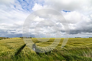 North sea dike landscape with dramatic sky