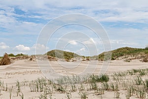 North sea dune landscape