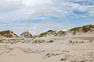 North sea dune landscape