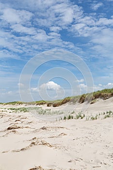 North sea dune landscape