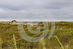 North sea dune landscape