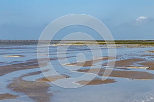 North sea dune landscape with salt meadow