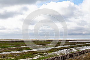 North sea dune landscape with salt meadow