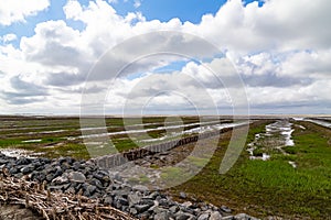 North sea dune landscape with salt meadow