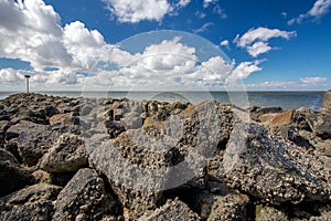 North Sea, Schleswig-Holstein!