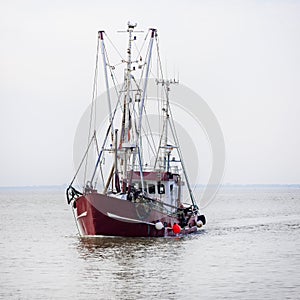 North Sea shrimp boats