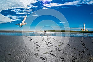 North Sea Wadden sea beach