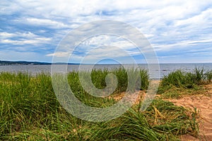 Sandy Shoreline and Grasses of Lake Superior in Minnesota photo