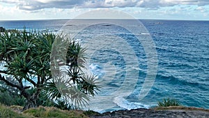 North Stradbroke Island Queensland Australia