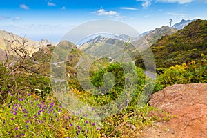 North Tenerfe island mountain panorma